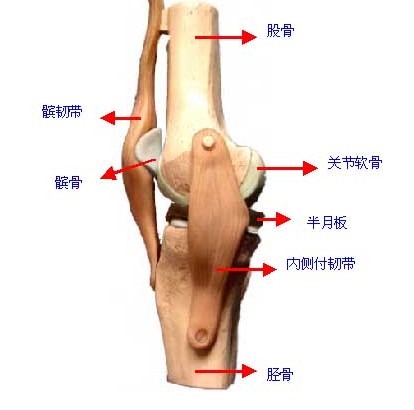 冬天怎样保护骨关节？