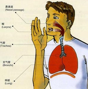 学会呼吸与导引、吞津相配合