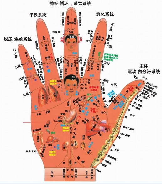 每根手指上的青筋都能测病