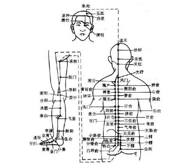 拿出经络图来|指给他看